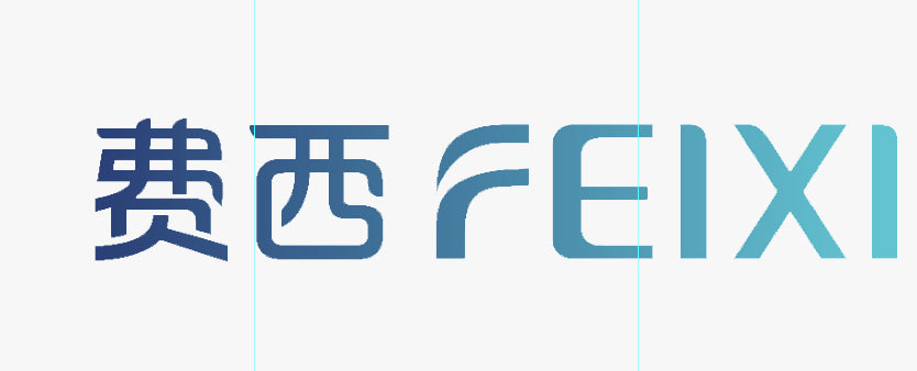 feixihw.com